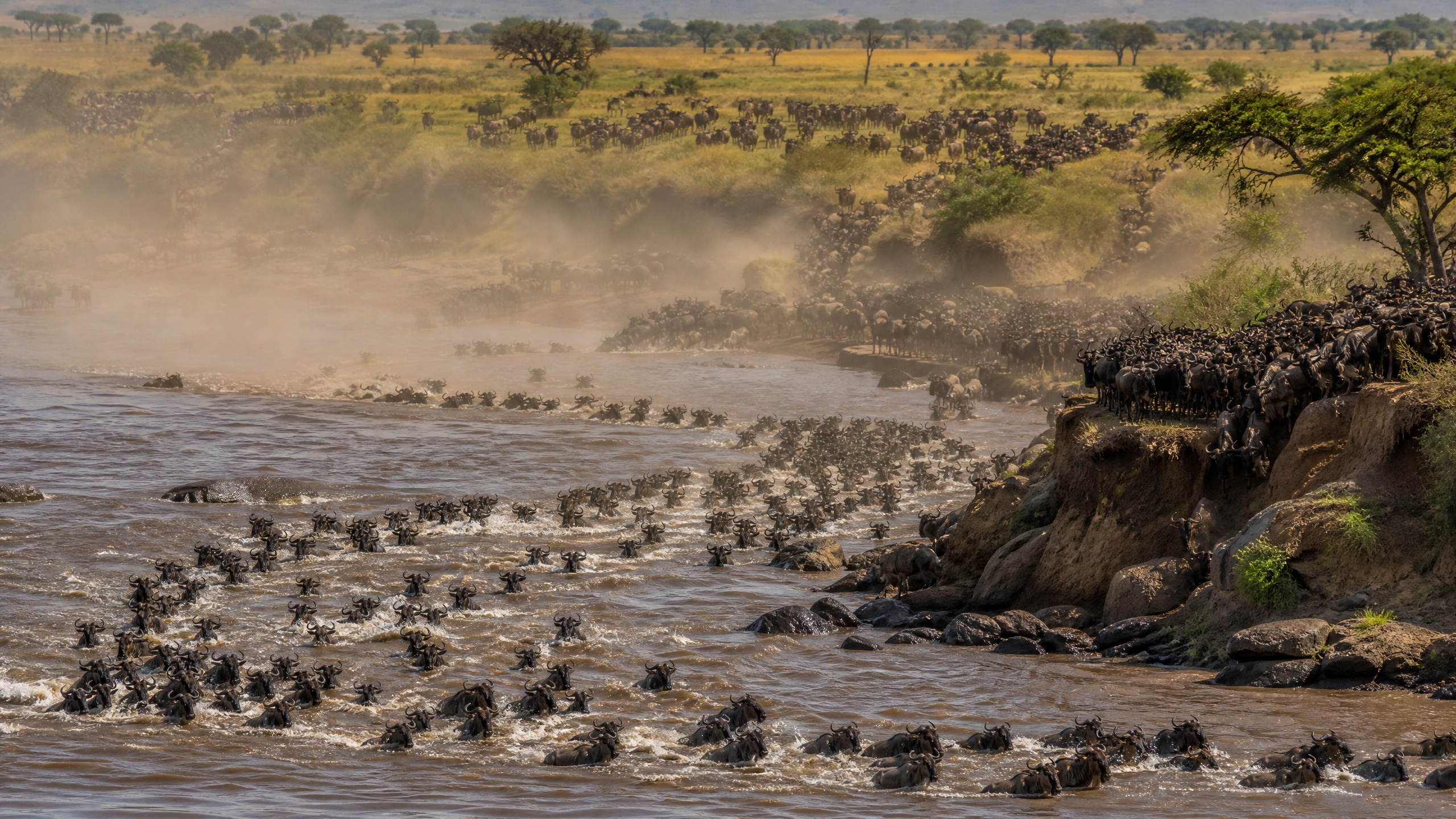 Visa Tanzanie pour le Serengeti : tout ce qu'il faut savoir