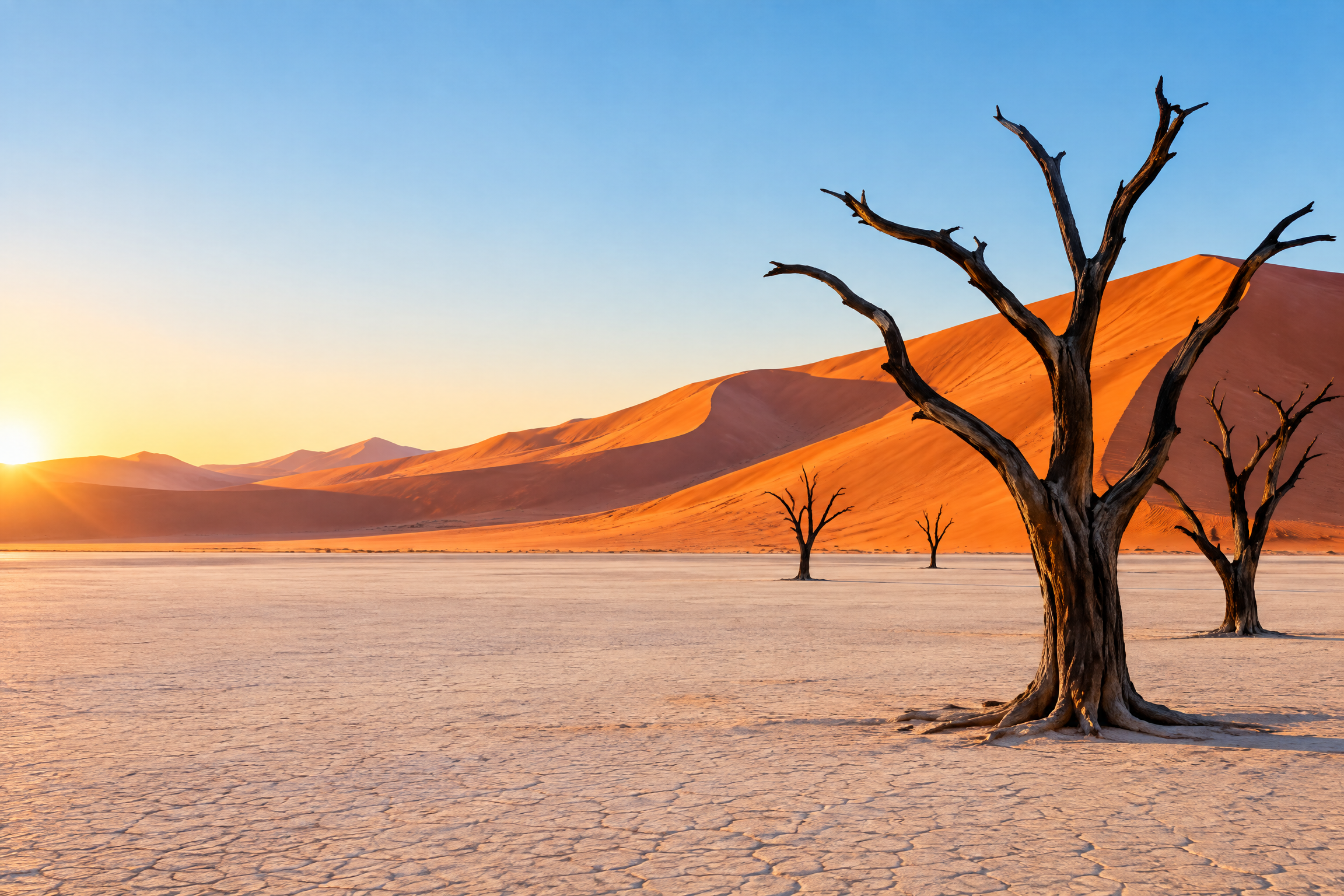 Illustration du guide Voyage touristique en Namibie : les règles d’entrée à connaître