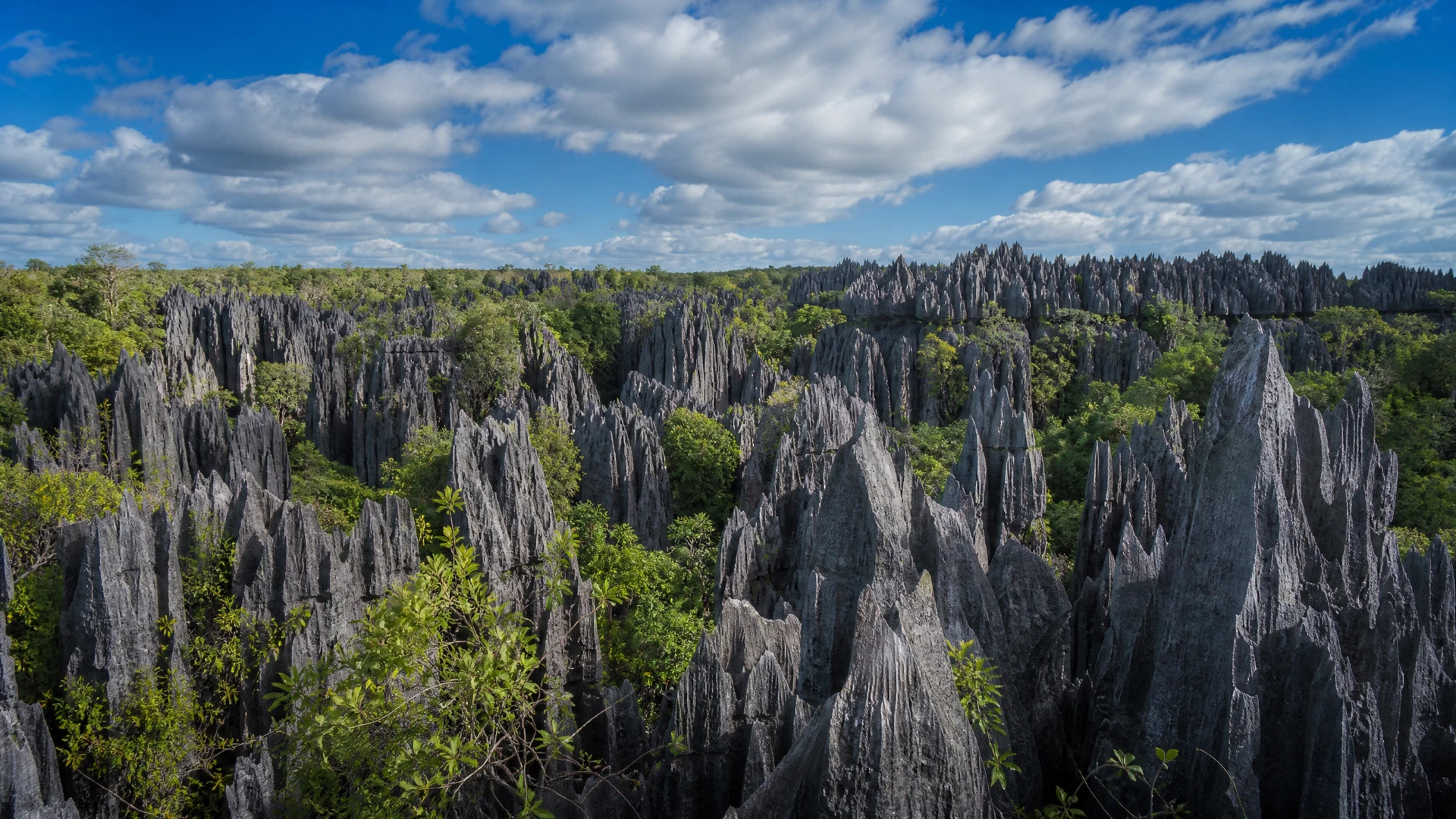 Tsingy de Bemaraha : le parc UNESCO de Madagascar