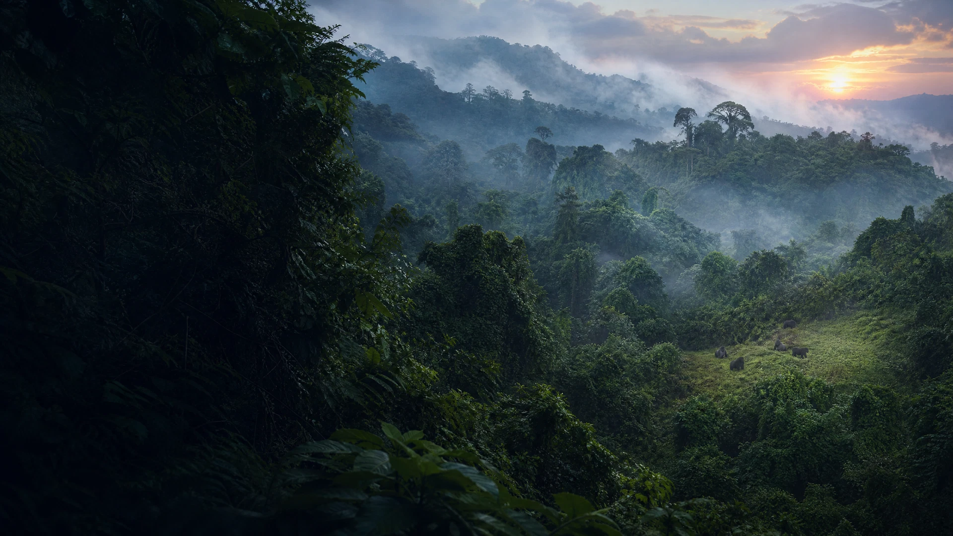 Formalités Ouganda