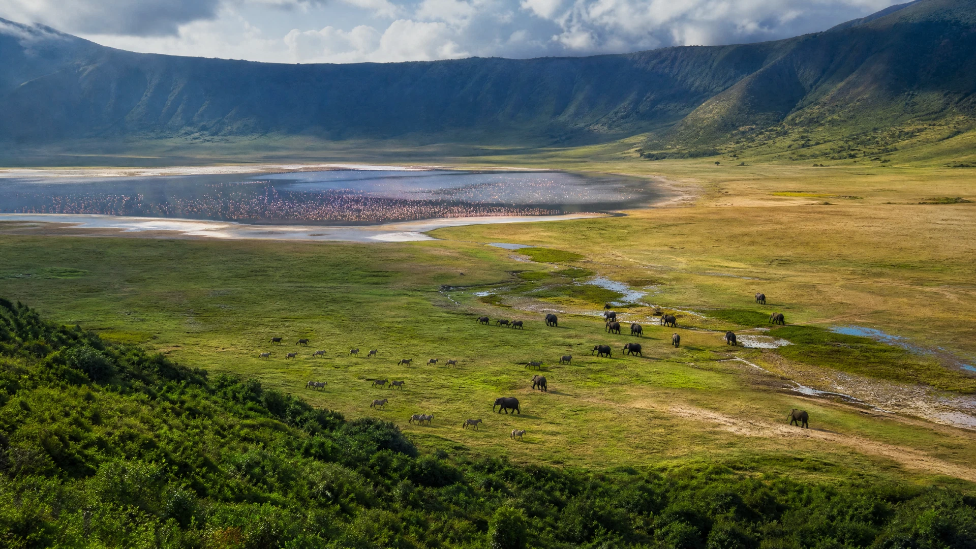 Cratère du Ngorongoro : le safari parfait en Tanzanie